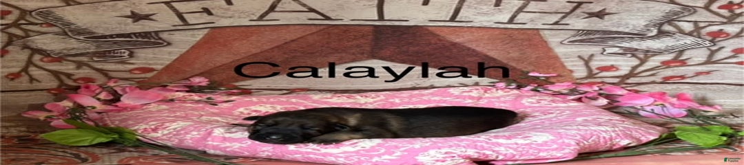 Calaylah