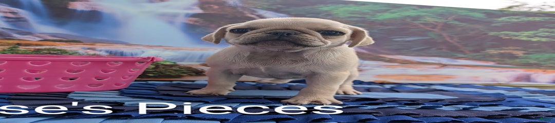 Reeses Pieces