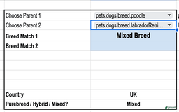 Staffordshire Bull Terrier dogs for sale: Honey - Image 1