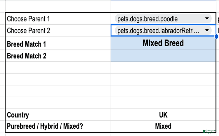 Staffordshire Bull Terrier dogs for sale - Ad 1