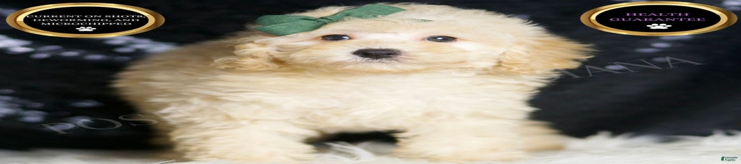 Cecil
