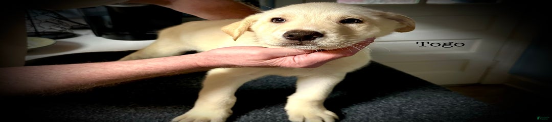 Togo