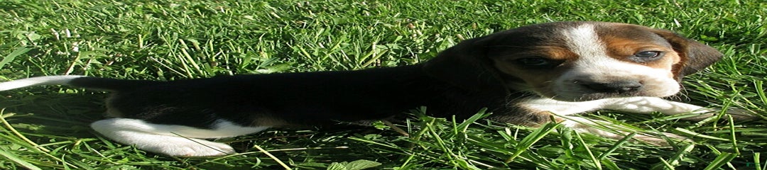 Winona