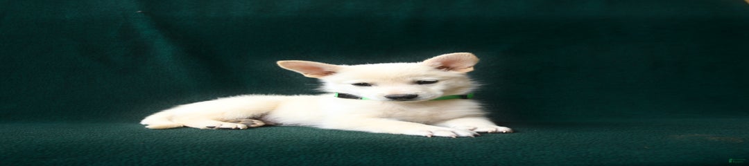 Sebastian