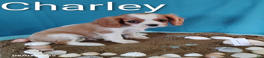 Charlie