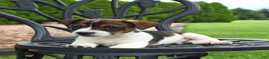 Monty