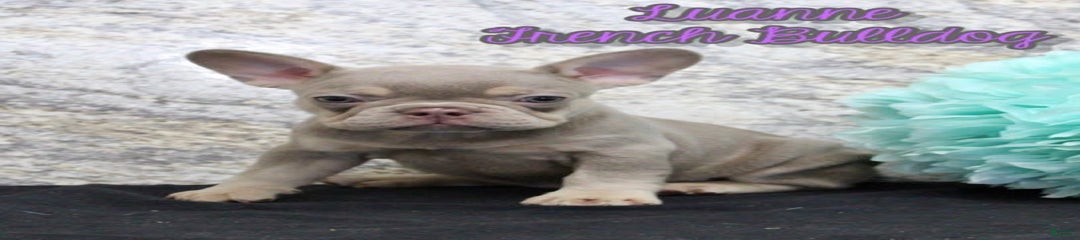 Luanne