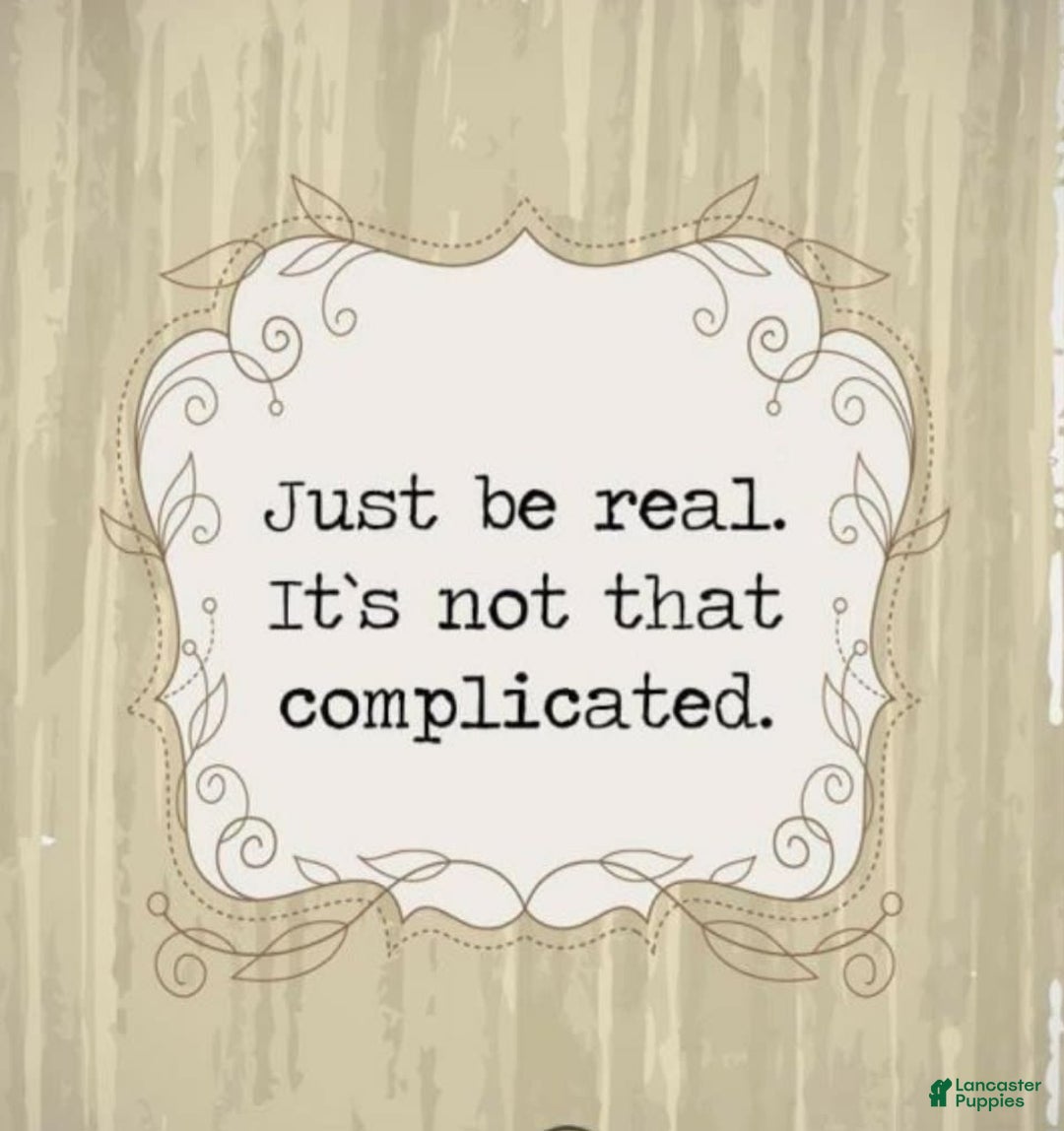 common:galleryImageAlt