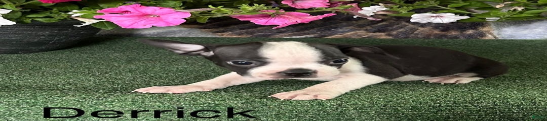 Derrick