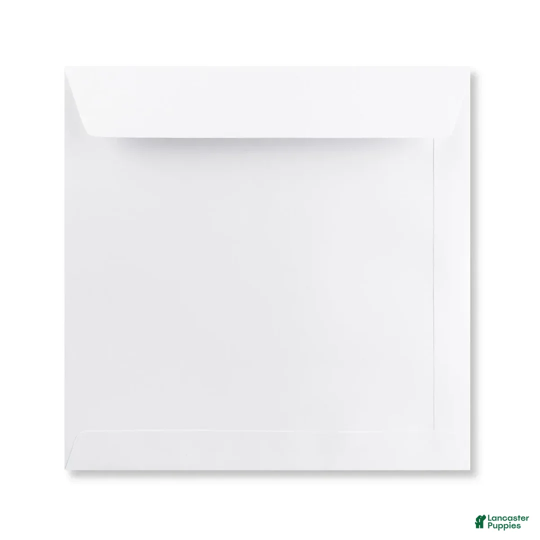 common:galleryImageAlt