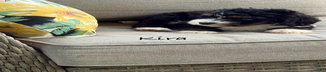 Kira