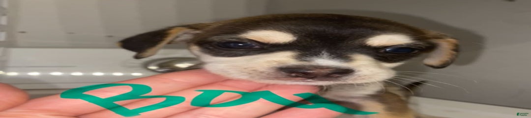 Mix