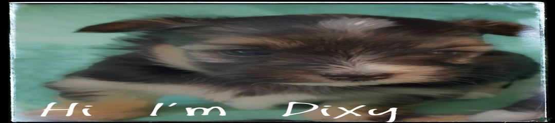 Dixy