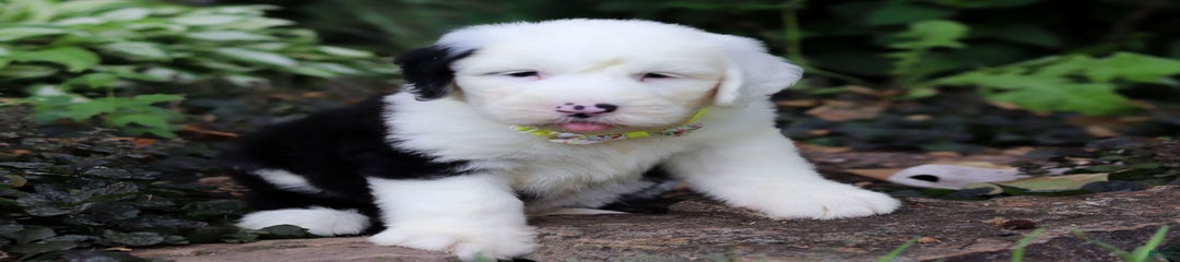 Ben