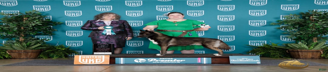 Link