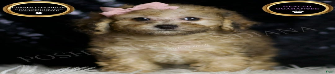 Winnie