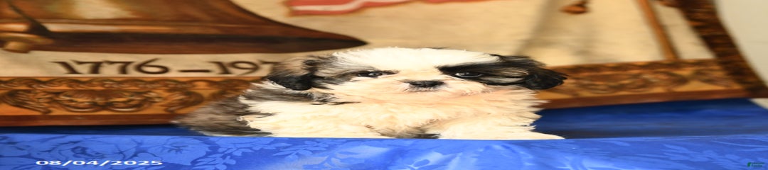 Benny