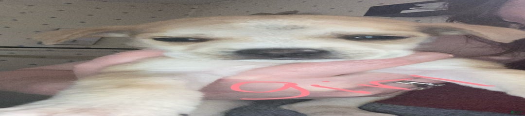 Mix