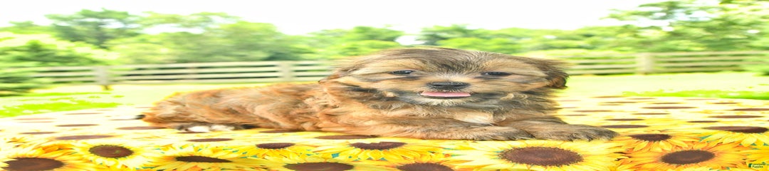 Edna