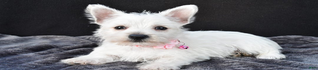 Oona