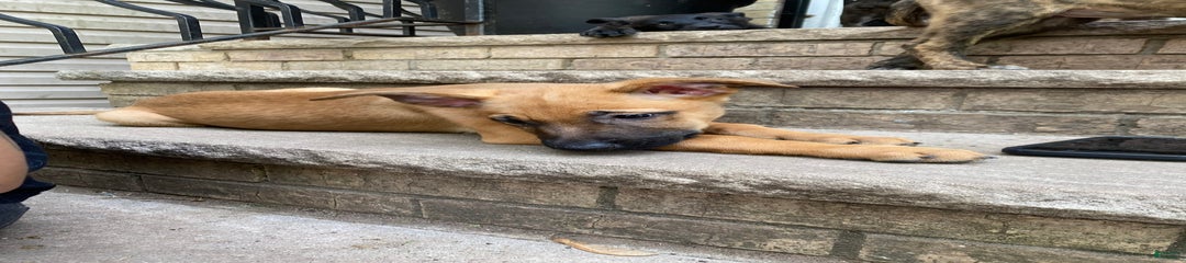 Maggie