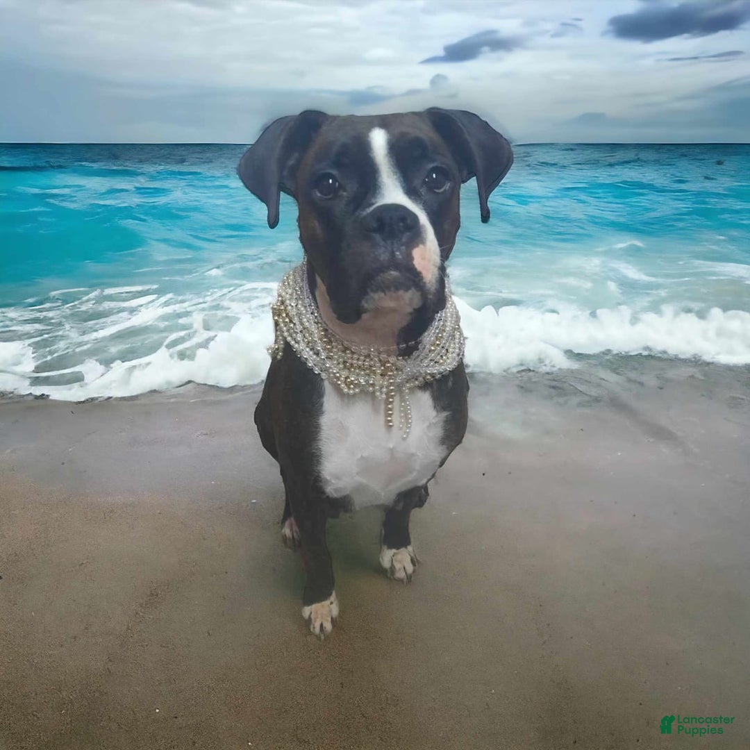 common:galleryImageAlt