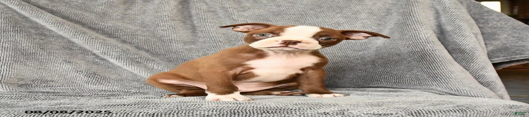 Marley