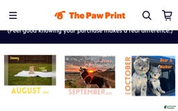 French Bulldog dogs for sale: Snow - Image 3
