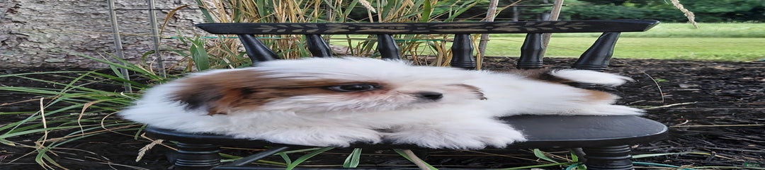 Timber