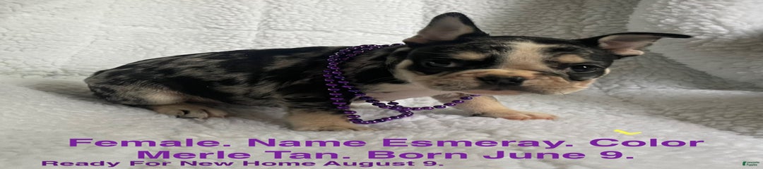 Esmeray
