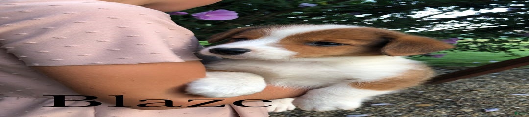 Blaze
