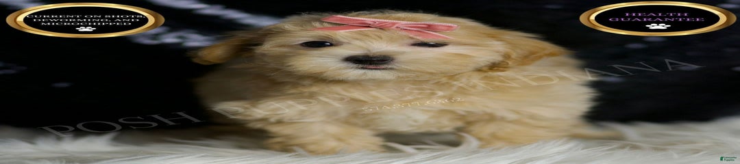 Rosie
