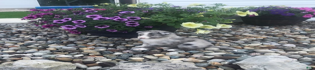 Teeny