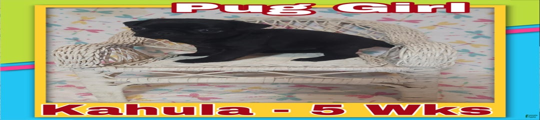 Kahula