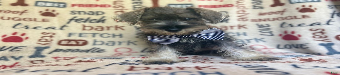 Tex