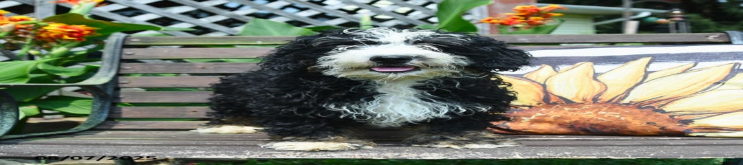 Roscoe
