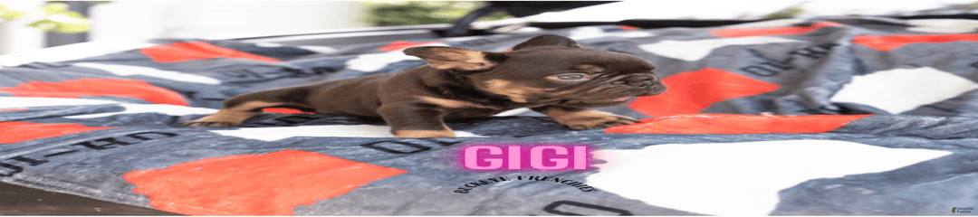 Gigi