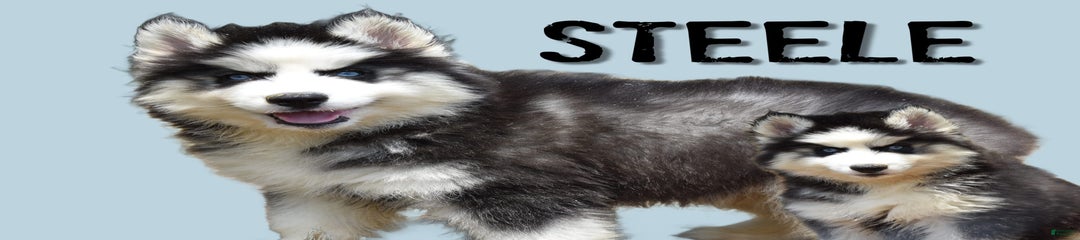 Steele