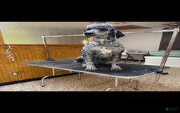 Newfypoo dogs for sale: Batman - Image 6