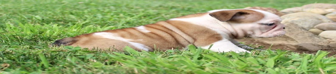 Winnie