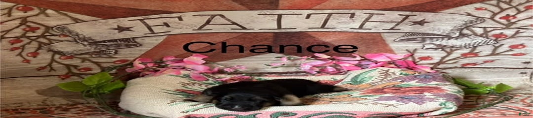 Chance