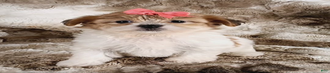 Tonya