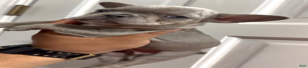 N/a