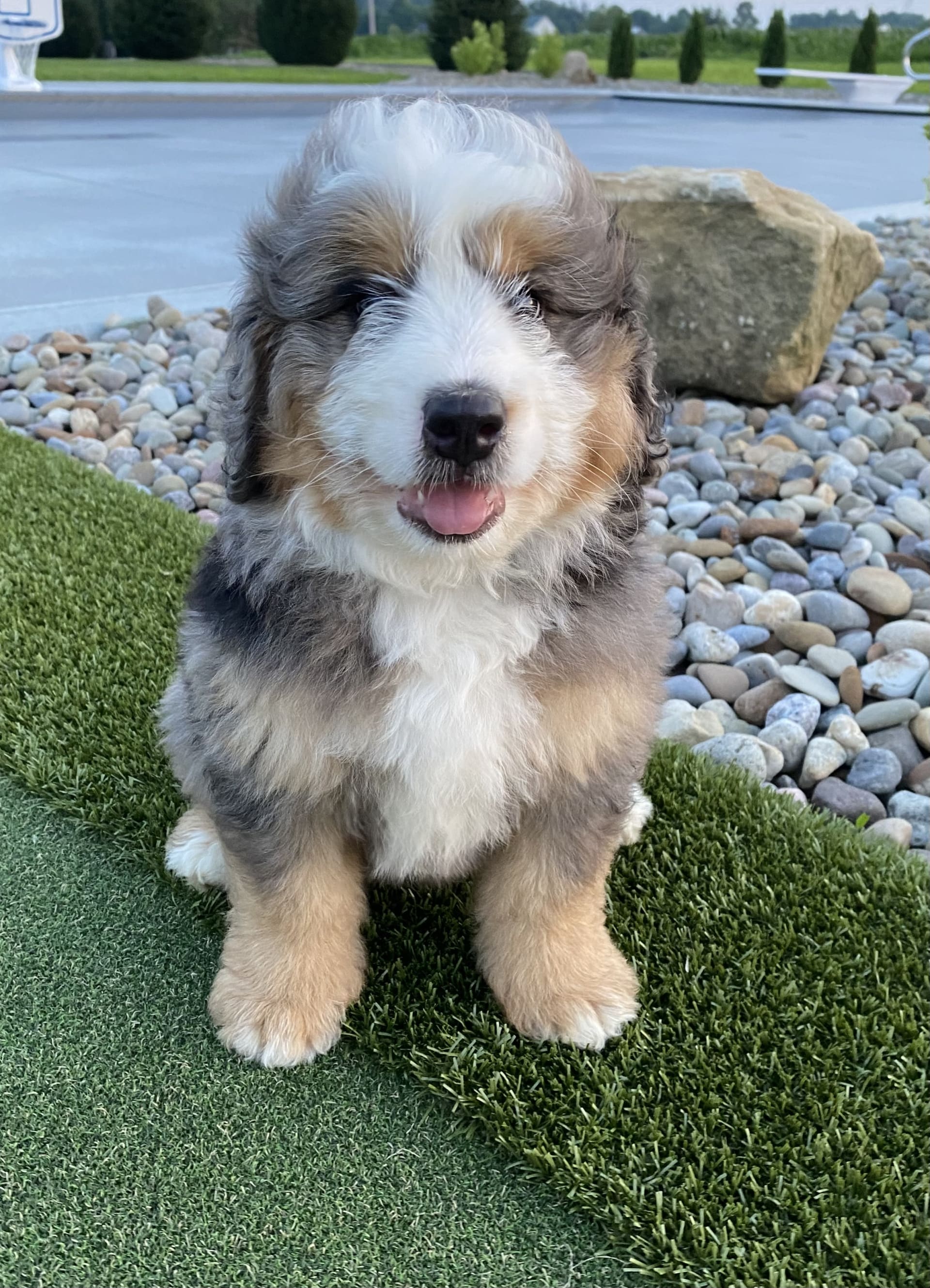 Hudson