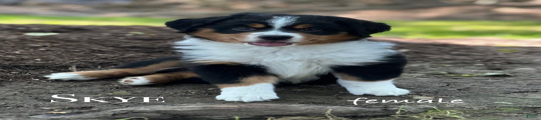 Skye
