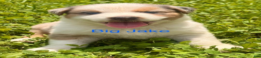 Big Jake