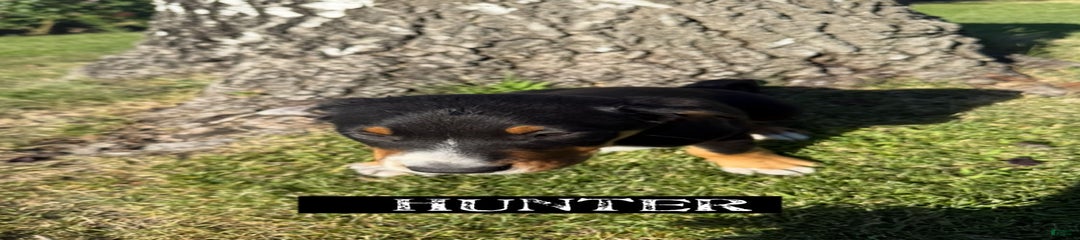 Hunter