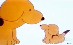 Goldendoodle dogs for sale: Spot - Image 3