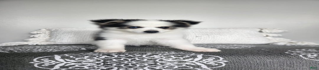Binxy