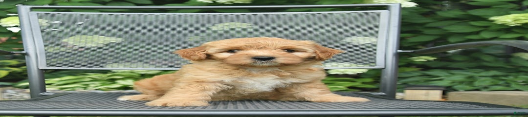 Lilah